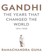 Image result for gandhi the years that changed the world
