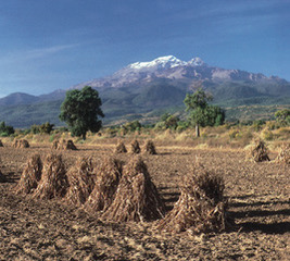 Image result for village people in puebla